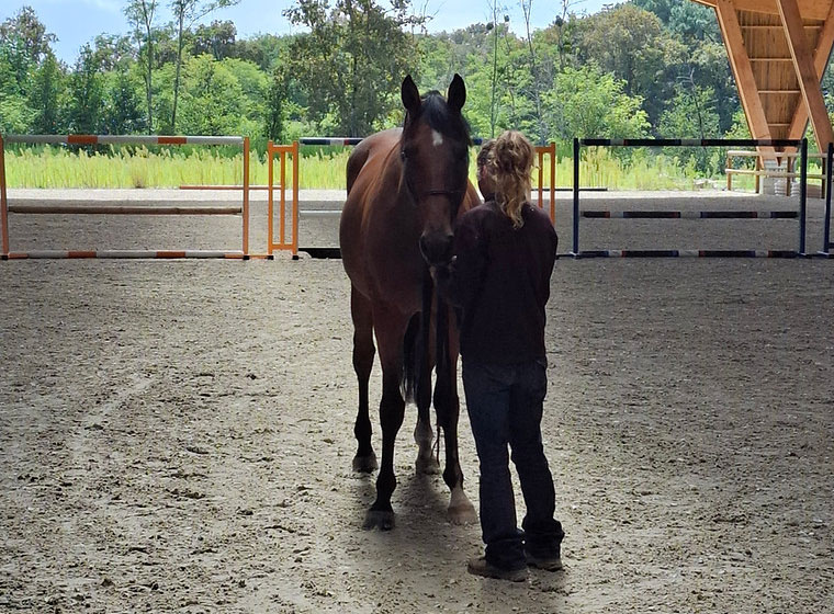 Session d’equi-coaching pendant un séminaire d’entreprise près de Bordeaux