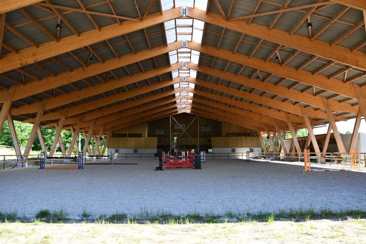 Session d’equi-coaching pendant un séminaire d’entreprise près de Bordeaux